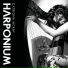 Hang drum & Celtic harp Alizbar & Amin Varkonyi