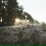 Janney Gleb