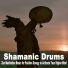 Shaman Indian Spirit
