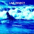 Lab Insect