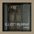 Elliott Murphy