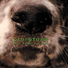 Cloroform