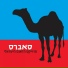 Lior Narkis & Shlomi Shabat