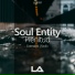 Soul Entity