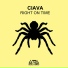 Ciava