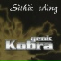 Genk Kobra