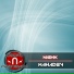 Nighk