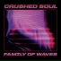 Crushed Soul