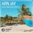 Arn Jay