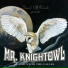 Mr. Knightowl