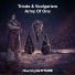 Triode, Voolgarizm