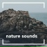 Nature Sounds