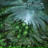 Decomposition Of Entrails