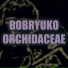 Bobryuko