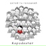 Kapodaster