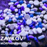 ZAYKOV NSOTD