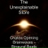 The Unexplainable Store