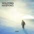 Walking Hawking