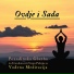 Učitelj Meditacije