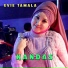 Evie Tamala feat. Brodin