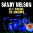 Sandy Nelson