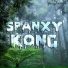 Spanxy Kong