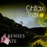 2 Senses