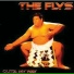 The Flys