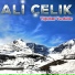 Ali Çelik