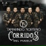 Tamarindo Norteño