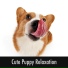 Calming Puppy Relaxation