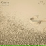 Casis