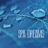 Spa Music Wellness