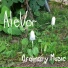 AleVor