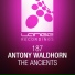 [MST 051] Antony Waldhorn