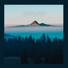 Nature Field Recordings