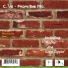 C Vo - From The Mo feat. Erica Mae