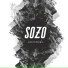 Sozo