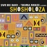 Themba Mkhize & SWR Big Band