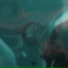 NSOM11