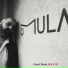 Oriol Mula