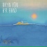 Bryn Fôn a'r Band