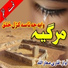 Qari Maaz Ullah