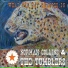 Norman Collins & the Tumblers
