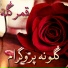 Qamar Gula