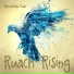Revival Rain Music