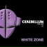 White Zone