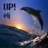 UP!