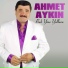Ahmet Aykın