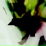 Microphyst